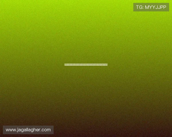 蜘蛛体育引领数字体育生态创新与赛事服务新格局发展平台时代蓝图